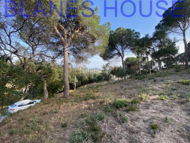 Foto dd2aa31b-c4f0-46a8-bb2b-b33153b181c1. Finca rústica terreno en venta en urbanitzacions el mas mórasant danielblanes mar en Tordera