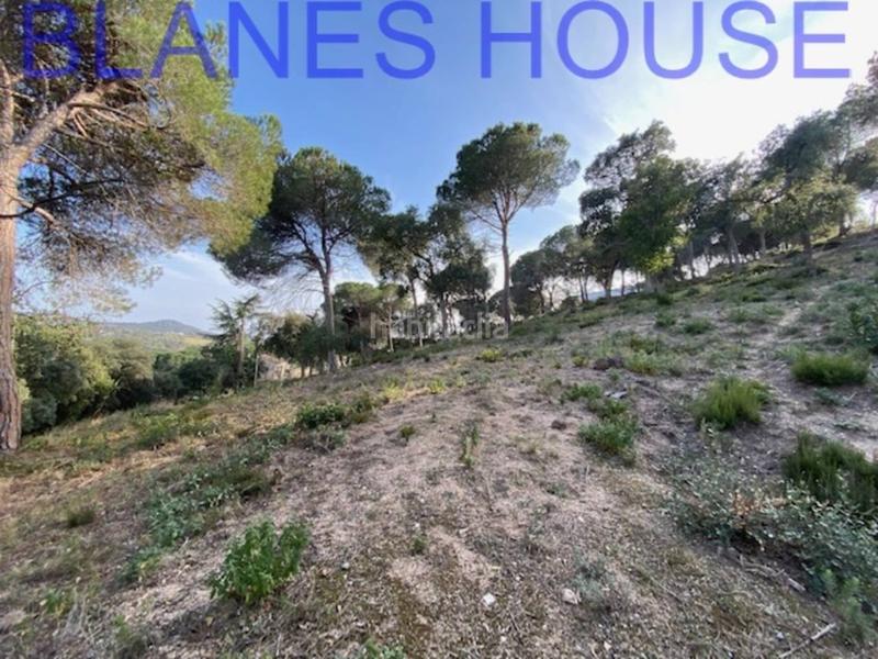 Foto ebbb6f01-e6ca-4138-841a-42ccbe9fcf8b. Finca rústica terreno en venta en urbanitzacions el mas mórasant danielblanes mar en Tordera