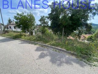 Finca rústica  Calle pica d estats. Terreno en venta en maçanet de la selva