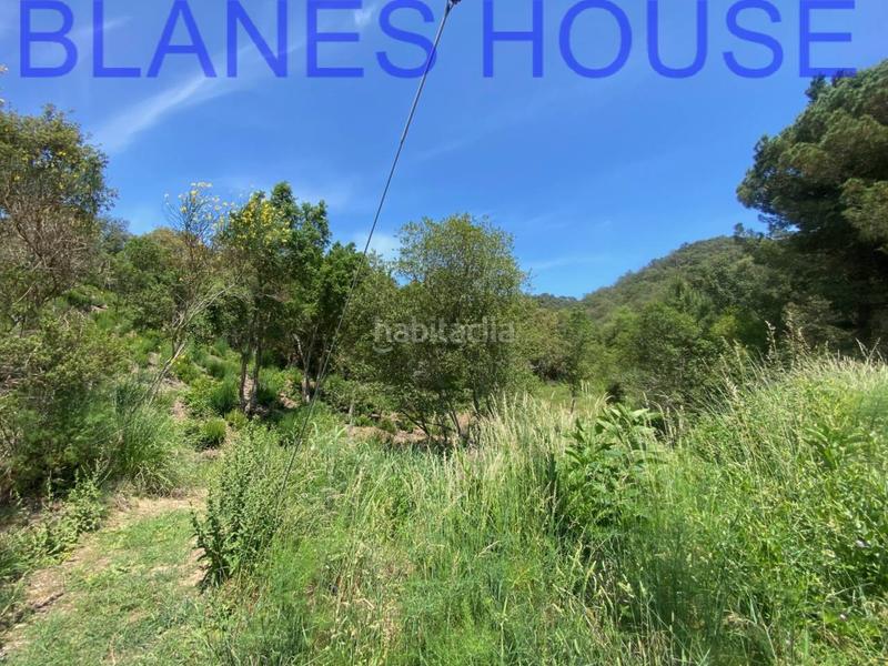 Foto 6ab69fad-e30a-46c9-8f6a-25e23fd9f603. Finca rústica terreno en venta en urbanitzacions del nord en Lloret de Mar