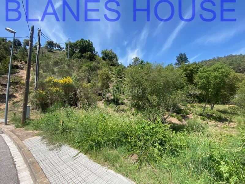 Foto 7e58659d-b981-4ea8-8eed-4b211e358a38. Finca rústica terreno en venta en urbanitzacions del nord en Lloret de Mar