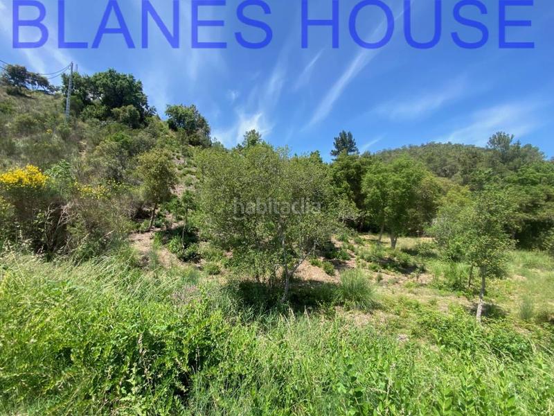 Foto 8cb30811-b8aa-4a53-b5d8-b8a2184b6f3e. Finca rústica terreno en venta en urbanitzacions del nord en Lloret de Mar