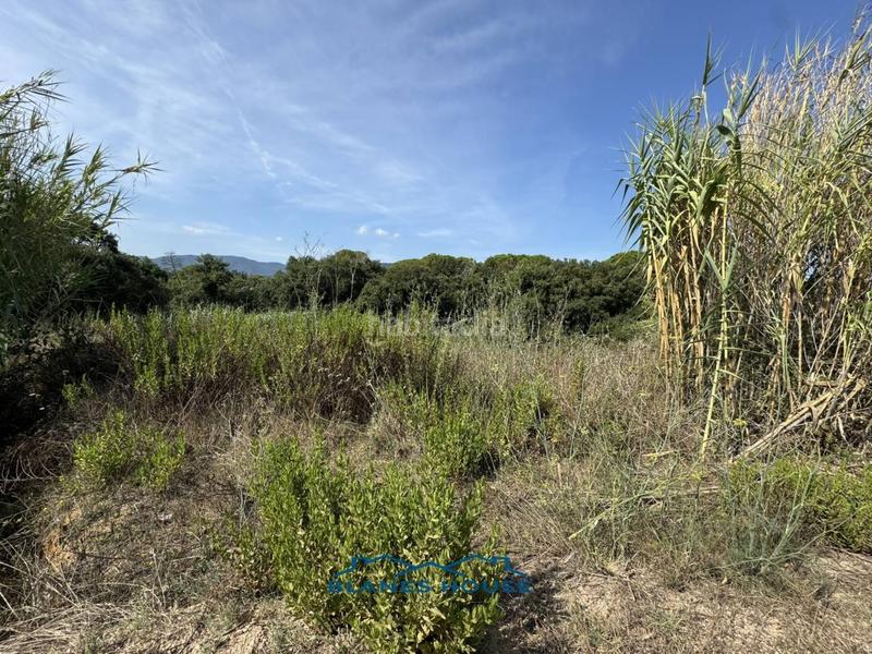 Foto 1154aa23-4dbd-4d08-87ab-a25a2587a7e9. Finca rústica a la julia 16 a Tordera Tordera