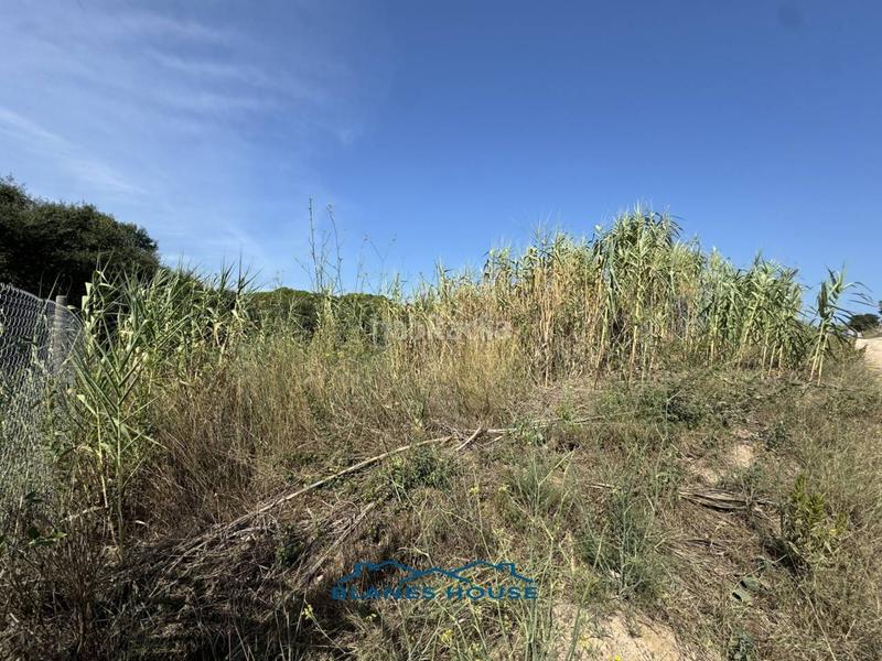 Foto 9301a90a-4586-443d-baa8-8e420804c5ed. Finca rústica a la julia 16 a Tordera Tordera