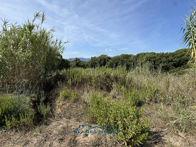 Foto b2cfd568-1552-4601-9f6d-f8d4035d87f5. Finca rústica a la julia 16 a Tordera Tordera