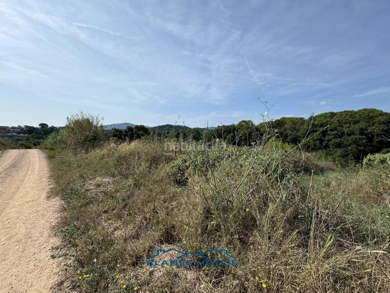 Foto b95df503-871b-43ea-87aa-12382ac5b8a8. Finca rústica a la julia 16 a Tordera Tordera