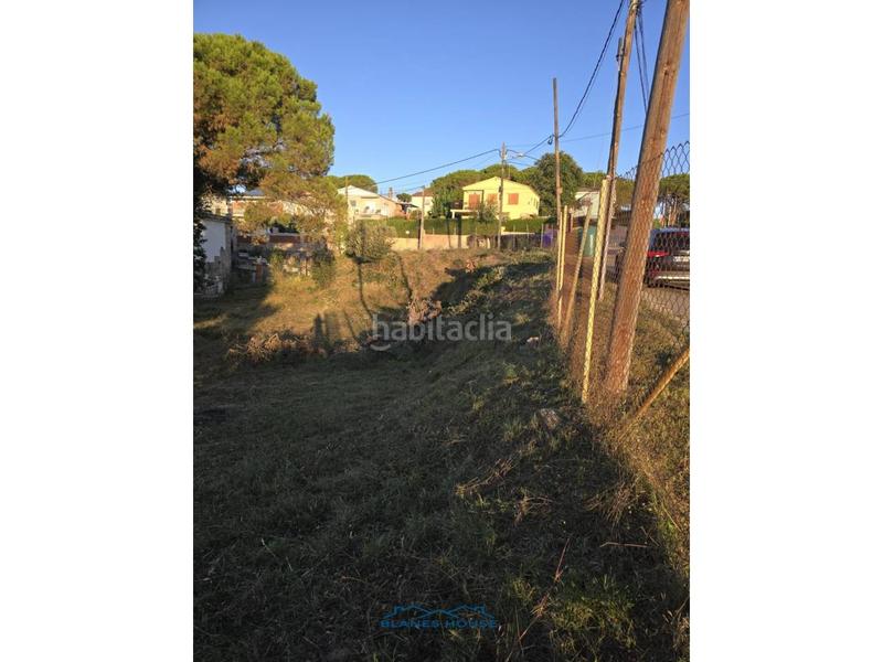 Foto 52fa1ea5-25e5-498a-a9c3-42b67945f485. Fondo rustico in Residencial Park Maçanet de la Selva