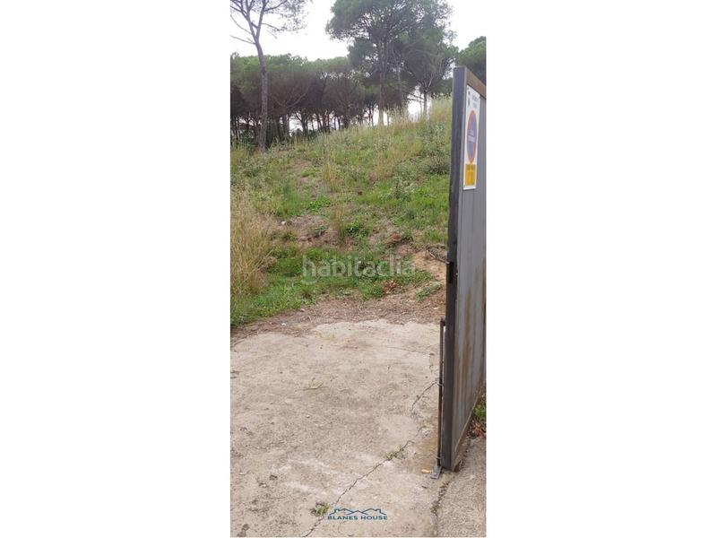 Foto 38e93c8a-4255-4b0d-8d82-0bd1961d5228. Landgut in san daniel 0 in Mas Mora-Sant Daniel Tordera