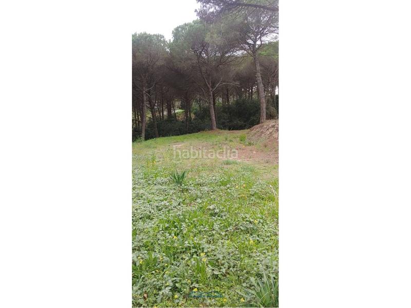 Foto 82fd3c38-96cb-4380-93d5-fc70a005903f. Landgut in san daniel 0 in Mas Mora-Sant Daniel Tordera