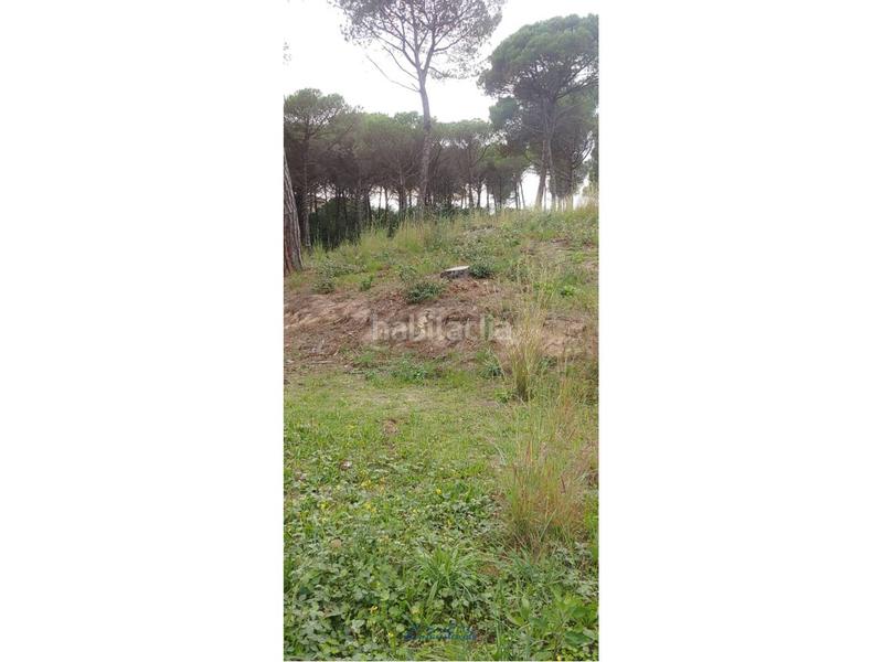 Foto bfc459c5-3dee-48dd-916c-8e3286ee2764. Landgut in san daniel 0 in Mas Mora-Sant Daniel Tordera