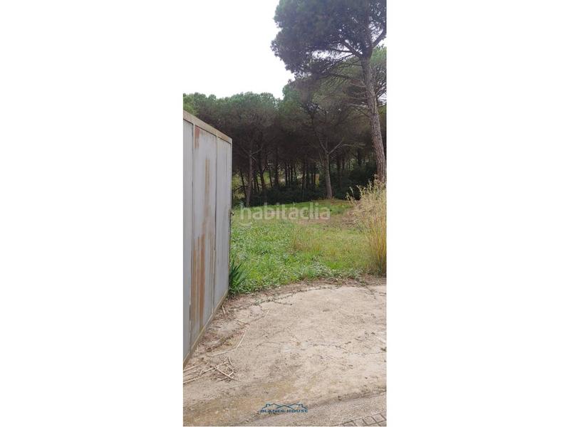 Foto fce57bc3-5c71-4acd-8c64-94f94b857916. Landgut in san daniel 0 in Mas Mora-Sant Daniel Tordera