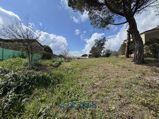 Finca rústica a Emporda 0. Terreno en venta en maçanet de la selva