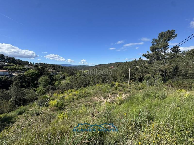 Foto c9c64923-d919-4991-89b8-9802408c50aa. Residential plot in argimont 0 in Riudarenes