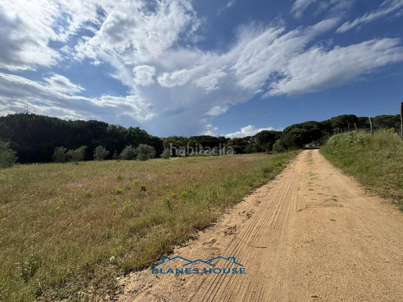 Foto 3b56da13-a18d-4831-be22-b6563c831ce8. Finca rústica a Sant Pere 7 a Sant Pere Tordera