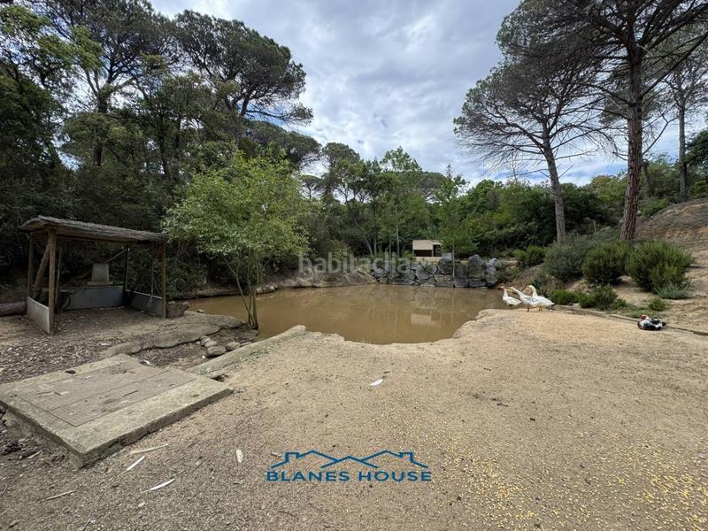 Foto 5ad11222-b0b2-4874-8493-cb76bbfcc8a6. Finca rústica a Sant Pere 7 a Sant Pere Tordera