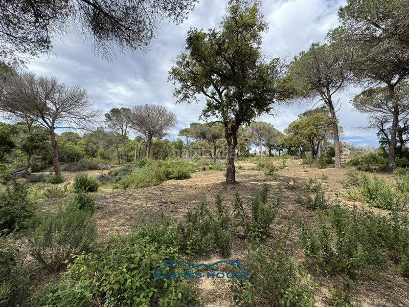 Foto a32f8a1e-9f14-4ca6-962a-8be36aeda013. Finca rústica a Sant Pere 7 a Sant Pere Tordera