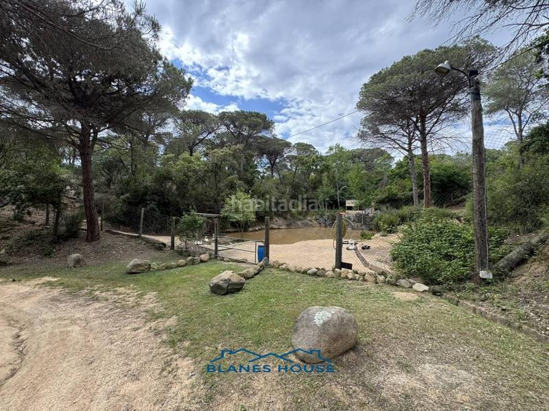 Foto af70f4bc-7b00-46b5-b3c0-1fa3129a69ec. Finca rústica a Sant Pere 7 a Sant Pere Tordera