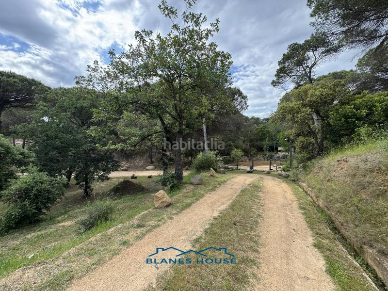 Foto bface3f5-93de-4179-956a-943cf450f5d7. Finca rústica a Sant Pere 7 a Sant Pere Tordera