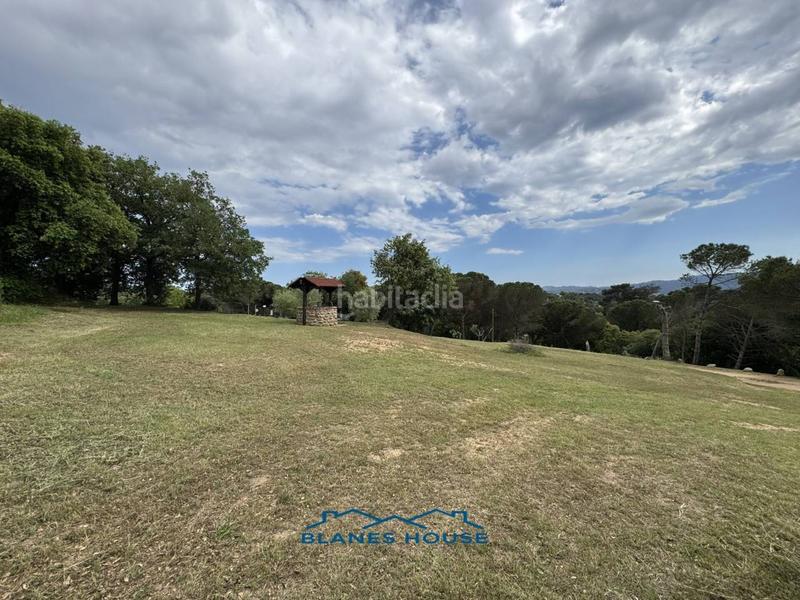 Foto ea28bc93-2345-45d3-abd3-93da4356a59e. Finca rústica a Sant Pere 7 a Sant Pere Tordera