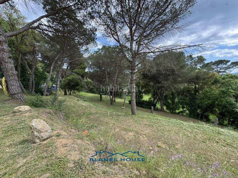 Foto f81452d4-6e61-4c66-84f3-b74ea4931002. Finca rústica a Sant Pere 7 a Sant Pere Tordera