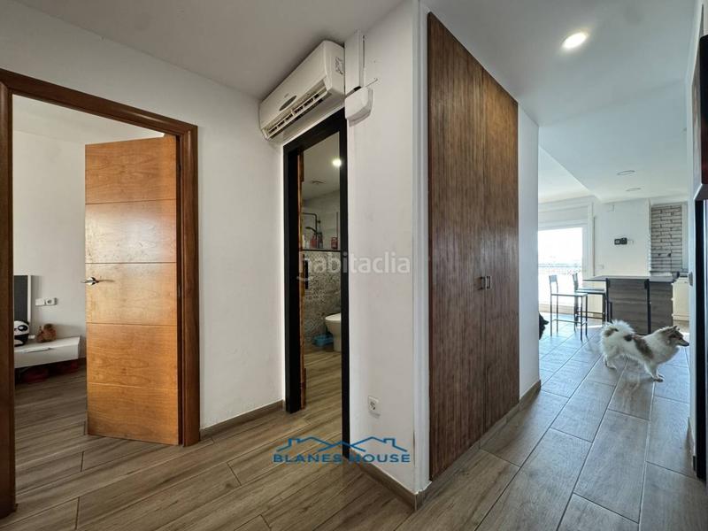 Foto 3d057a82-99b2-4bbf-a728-cfd0f17a9e27. Pis a mediterrani 0 a Malgrat de Mar