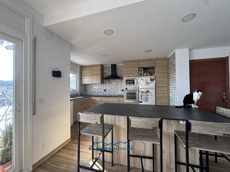 Foto 6637ab66-2b7e-4158-b15d-f677844740d3. Pis a mediterrani 0 a Malgrat de Mar