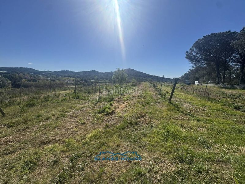 Foto 04b9ab9f-963d-452b-80ed-93608f1015ed. Finca rústica a calle bosch rabasa 1 a Centre Blanes