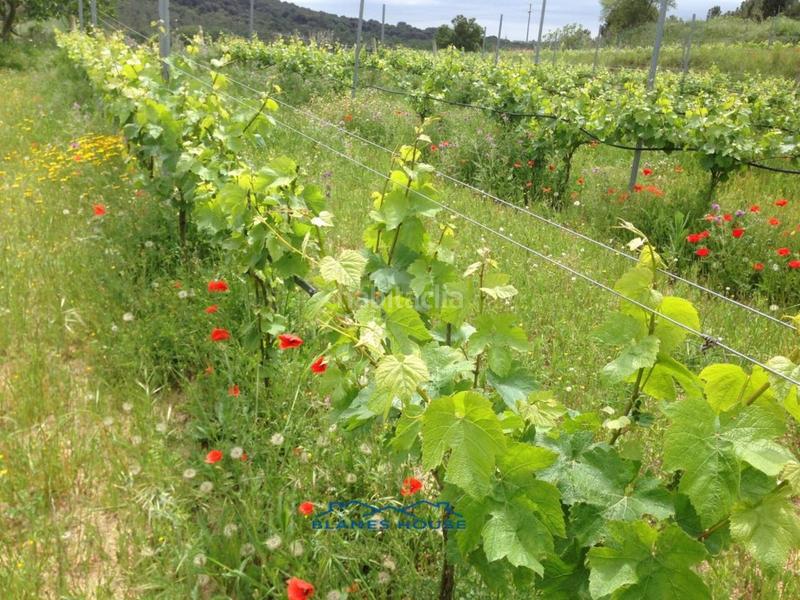 Foto 0ac72df1-f00d-484a-b836-87545542f785. Propriété dans bosch rabasa 1 dans Centre Blanes