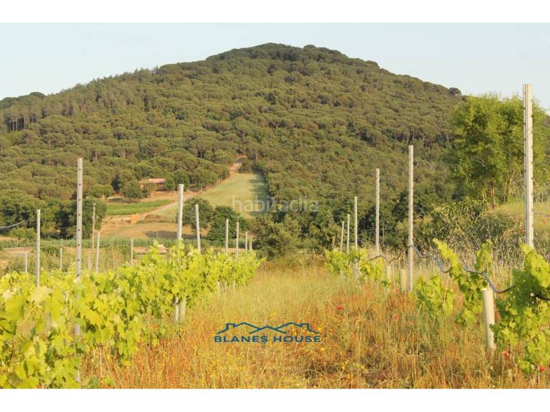 Foto 137da21f-09c8-4486-a2e3-c676c4c5a1e5. Propriété dans bosch rabasa 1 dans Centre Blanes