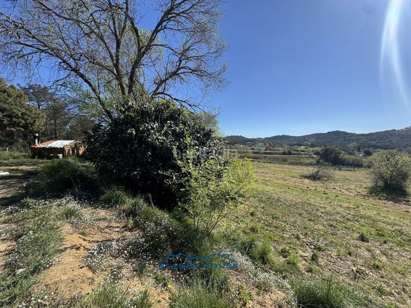 Foto 17cbdef2-5551-4405-bbf0-cb291bd1d668. Finca rústica a calle bosch rabasa 1 a Centre Blanes