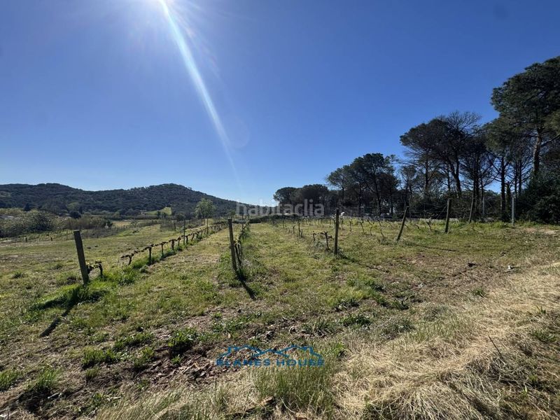 Foto 35a9b029-269a-4dca-a915-1bc3662b4eeb. Finca rústica a calle bosch rabasa 1 a Centre Blanes