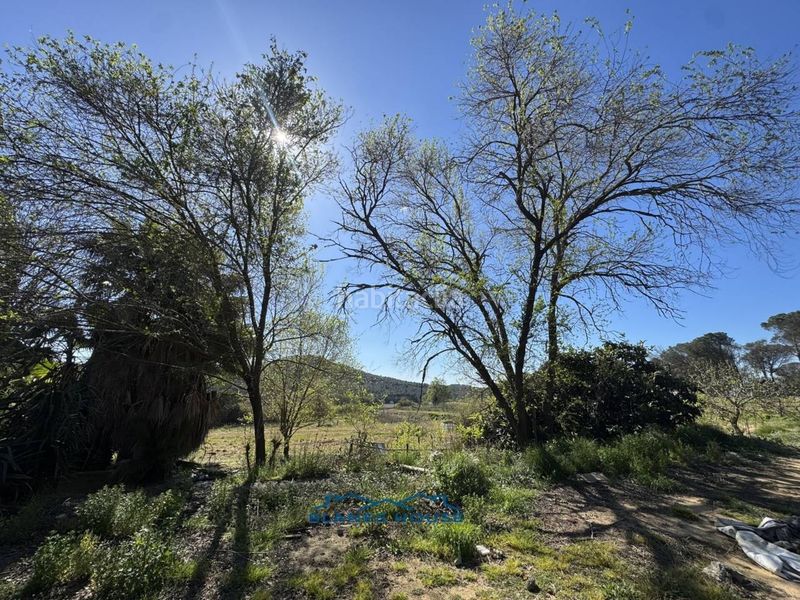 Foto 3c954b15-6dcf-4b8b-8bde-317bf7b96133. Finca rústica a calle bosch rabasa 1 a Centre Blanes