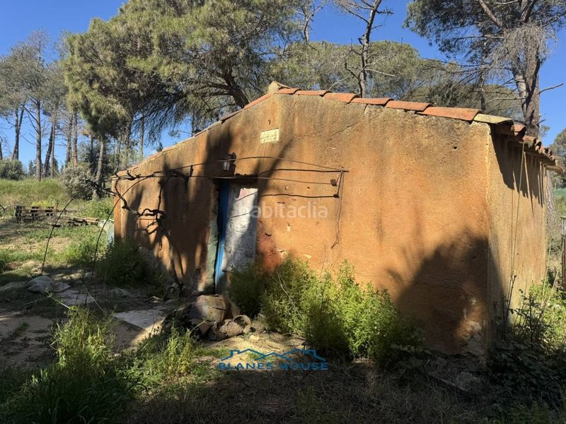 Foto 56fcfef3-6ca9-40cb-9849-ba61b8e38111. Finca rústica a calle bosch rabasa 1 a Centre Blanes