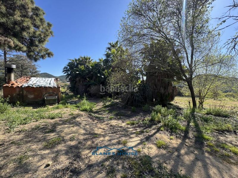 Foto 5d4065ff-9f8c-408f-ab95-0e6653f00104. Finca rústica a calle bosch rabasa 1 a Centre Blanes