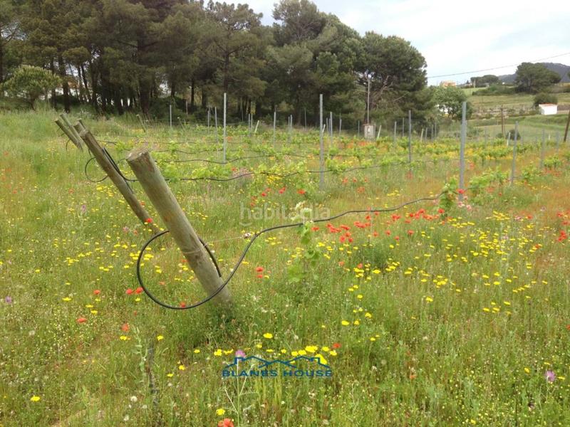 Foto 5f9d1821-c6e2-46fa-99df-c930fe08dcdb. Propriété dans bosch rabasa 1 dans Centre Blanes