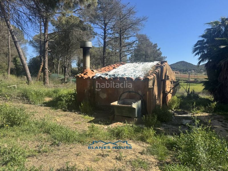 Foto 66cd6f0a-ddc9-4907-b227-2c6da731de8f. Finca rústica a calle bosch rabasa 1 a Centre Blanes