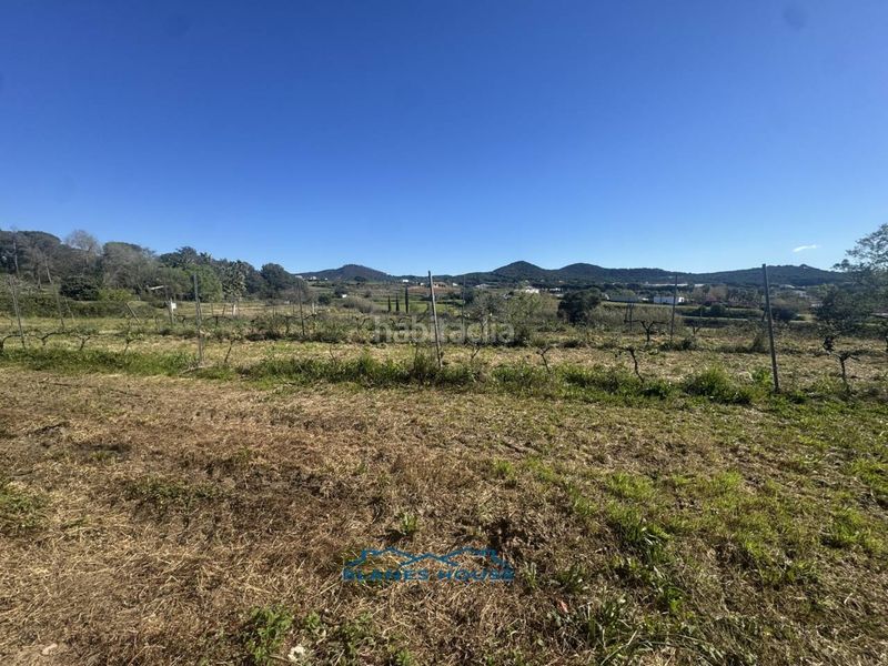 Foto 698d2929-2289-442e-8894-88acdcb345d4. Finca rústica a calle bosch rabasa 1 a Centre Blanes