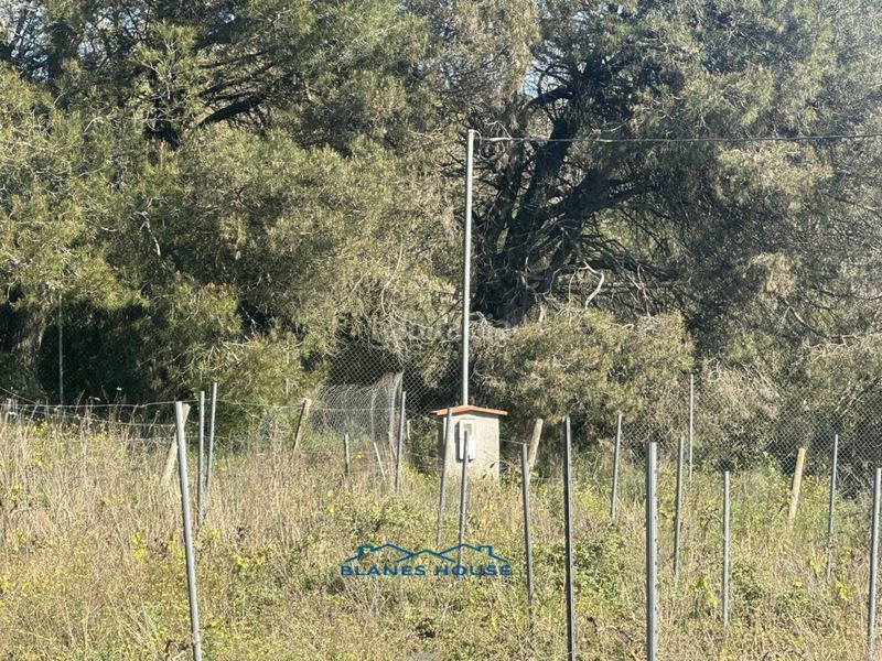 Foto 73079d75-037f-4e8f-80ca-74fc124b1279. Finca rústica a calle bosch rabasa 1 a Centre Blanes