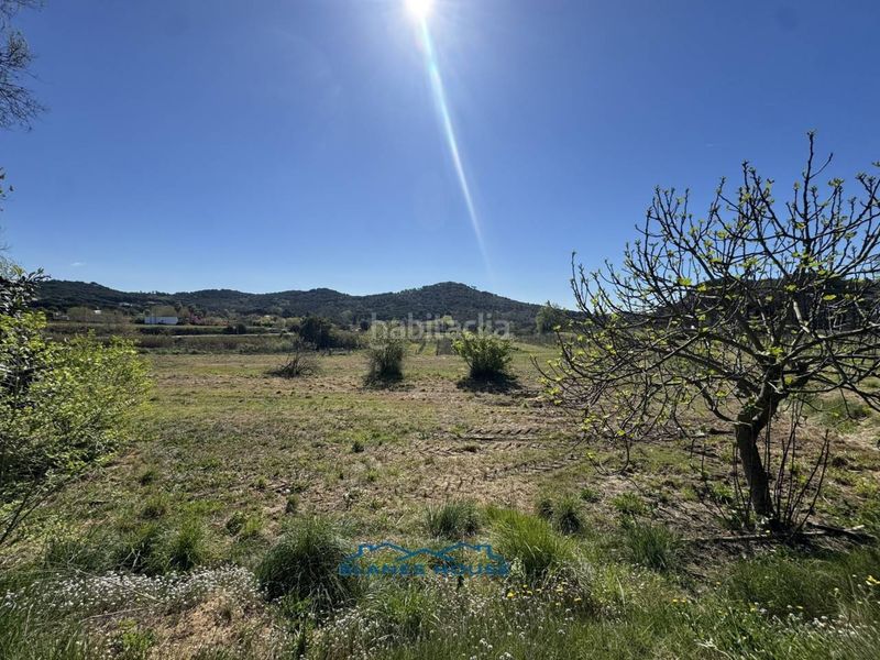 Foto 76a9aede-8971-4017-8b44-a1d9b38b3ad9. Finca rústica a calle bosch rabasa 1 a Centre Blanes