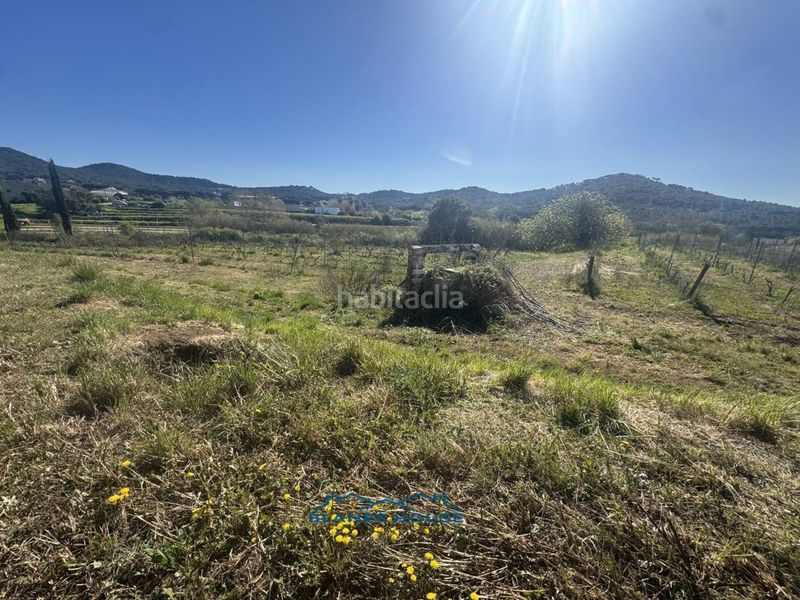 Foto 8719da9e-74d0-4683-8266-7679c3466495. Finca rústica a calle bosch rabasa 1 a Centre Blanes