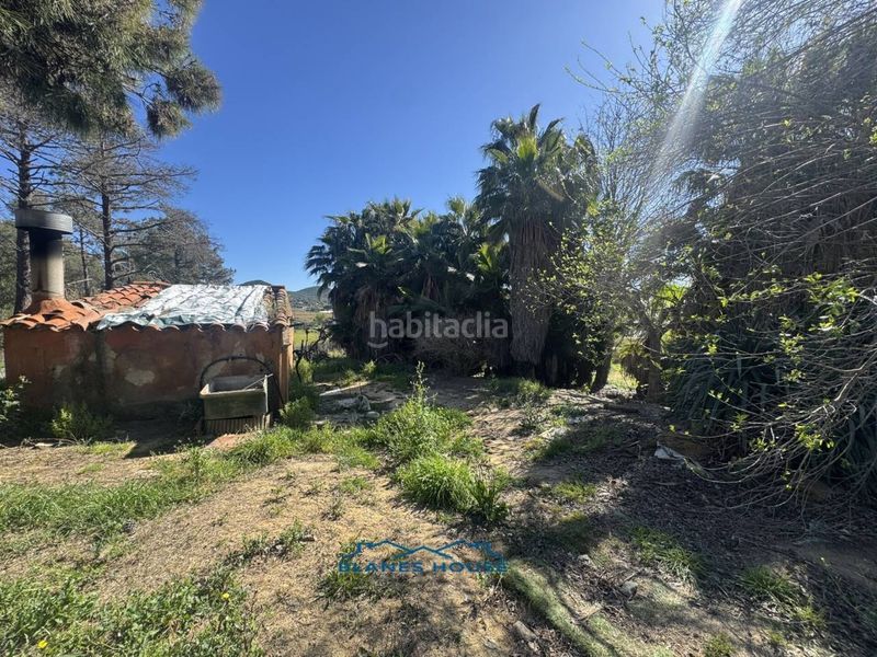 Foto 8df2c919-51b5-4cb4-b1ce-ba06cc4f3fa2. Finca rústica a calle bosch rabasa 1 a Centre Blanes