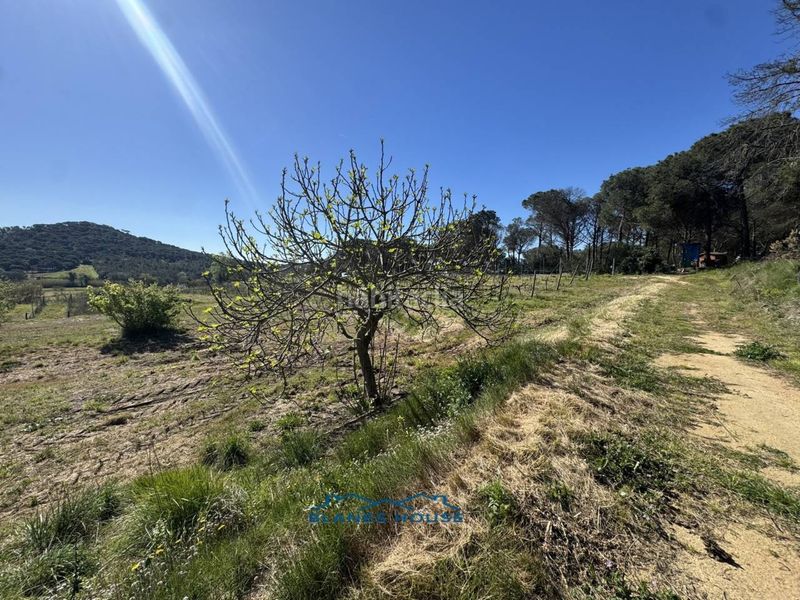 Foto 91d68b2f-4f28-4a1b-a1a4-ea63a2912e94. Finca rústica a calle bosch rabasa 1 a Centre Blanes