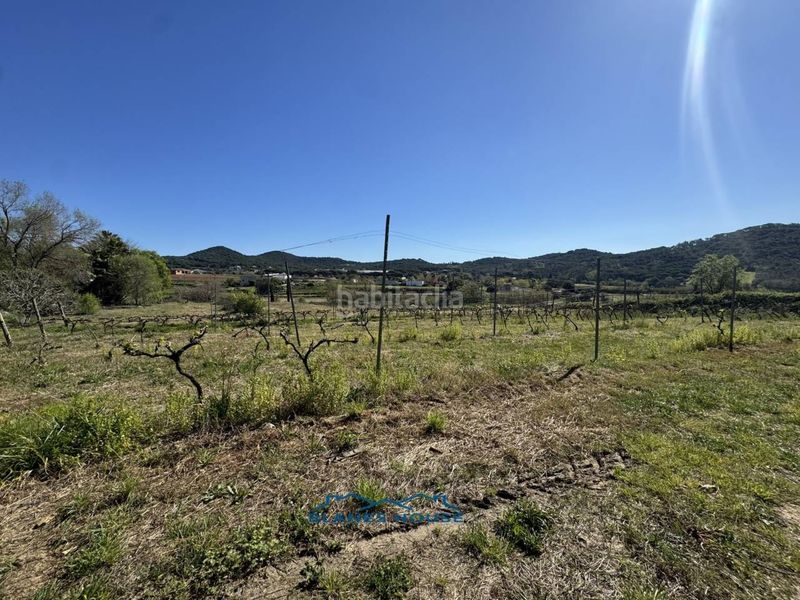 Foto 9aa9ae33-04ac-4da4-8fe9-eb9431f3f69d. Finca rústica a calle bosch rabasa 1 a Centre Blanes