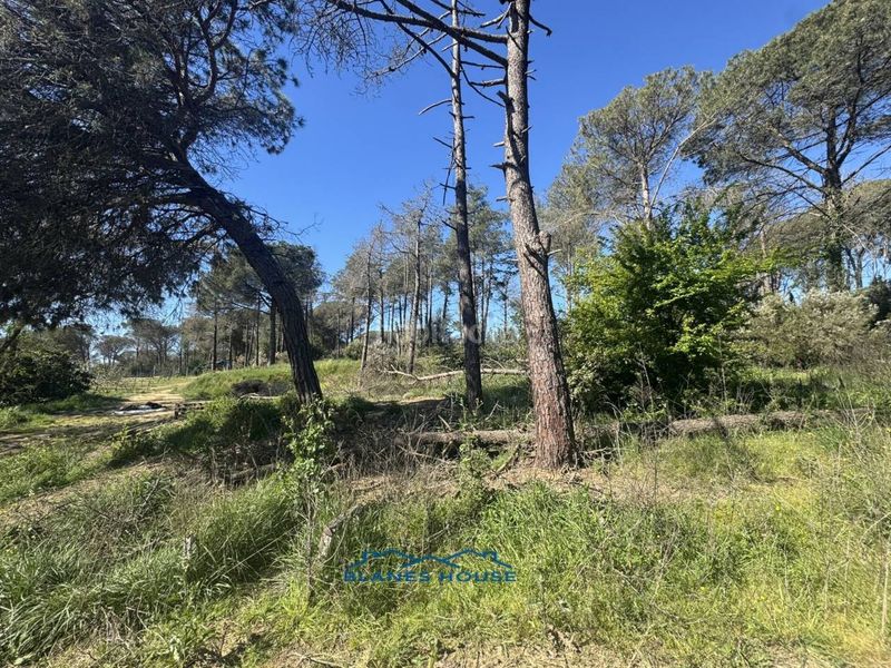 Foto 9adbb2a8-90e8-47a3-990e-43c20afd6039. Finca rústica a calle bosch rabasa 1 a Centre Blanes