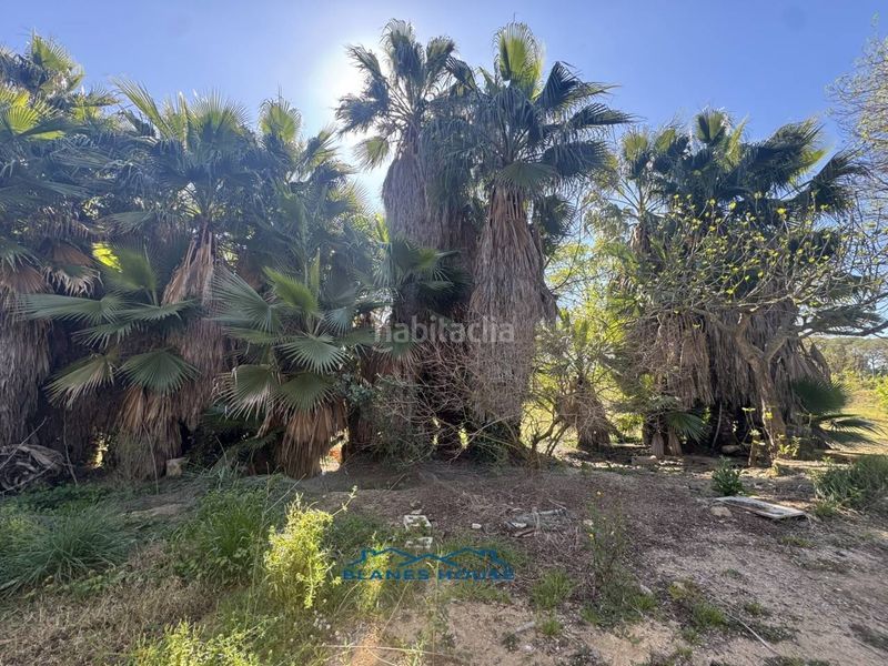 Foto a918179c-2470-4384-b98f-be2d2d77e47d. Finca rústica a calle bosch rabasa 1 a Centre Blanes