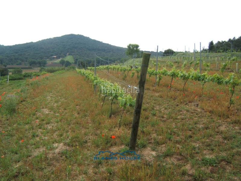 Foto b677c571-4eee-49e6-8b38-c8d7498d058a. Propriété dans bosch rabasa 1 dans Centre Blanes