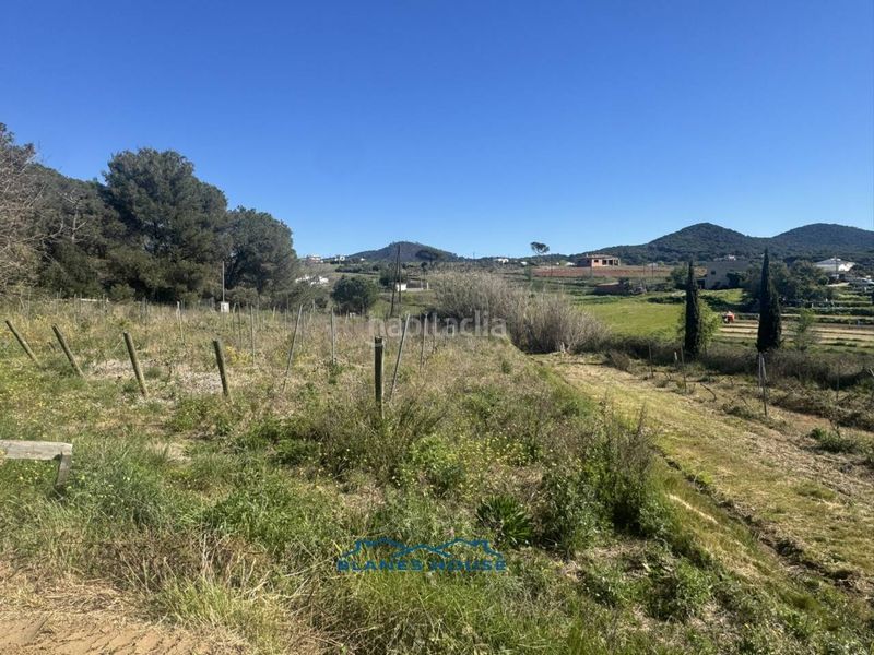 Foto d158afe5-8bc3-4020-b187-26d7380fe1cc. Finca rústica a calle bosch rabasa 1 a Centre Blanes