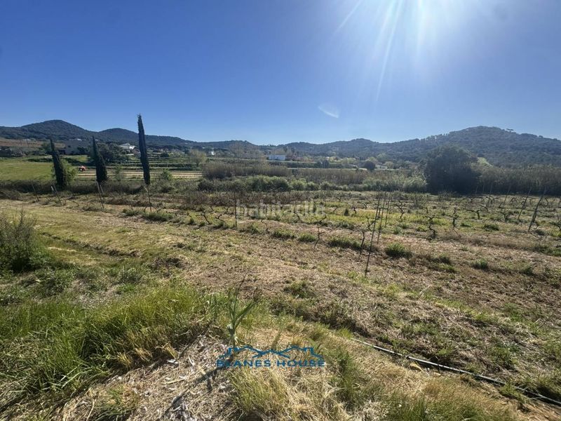 Foto e1eb38d0-ca2e-4eb1-b57d-f4f13d832ca4. Finca rústica a calle bosch rabasa 1 a Centre Blanes