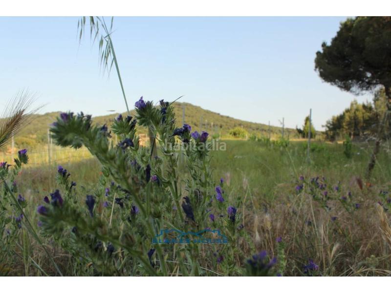 Foto fd2e7b27-8d14-4156-a5ba-cf6bde09e7f1. Propriété dans bosch rabasa 1 dans Centre Blanes