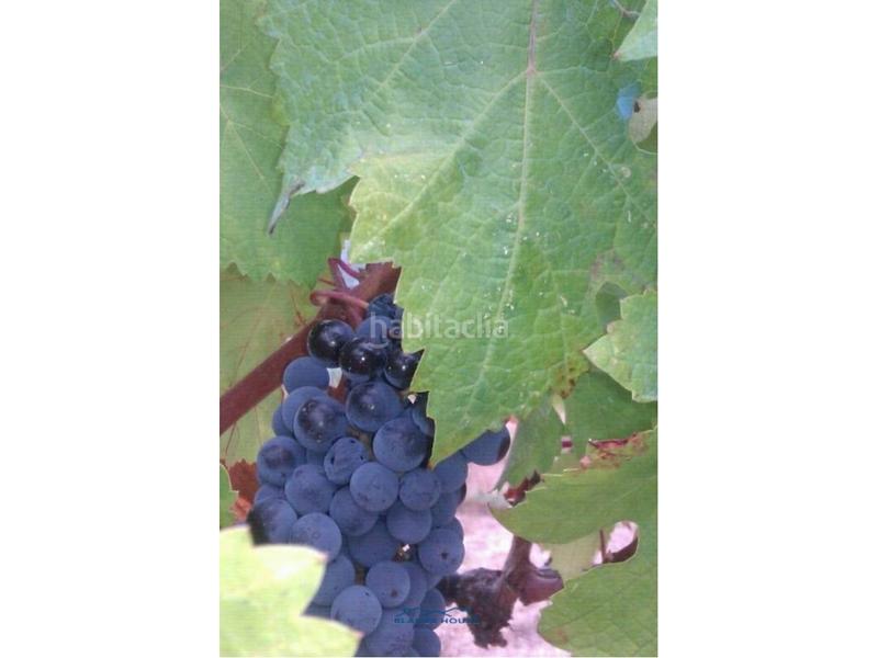 Foto ff216f9e-4aa9-476f-a26b-ba3ef431e1b4. Propriété dans bosch rabasa 1 dans Centre Blanes